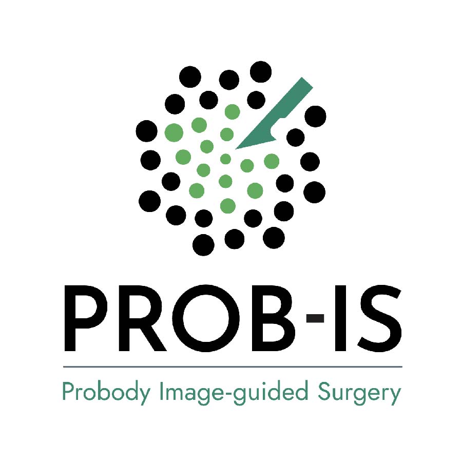 PROB-IS Logo